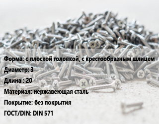 Шуруп с плоской головкой, с крестообразным шлицем 3х20 нержавеющая сталь без покрытия ГОСТ: DIN 571, шт цена от 149.12 Тг / кг, где купить, условия доставки в Петропавловске и Северо-казахстанской области